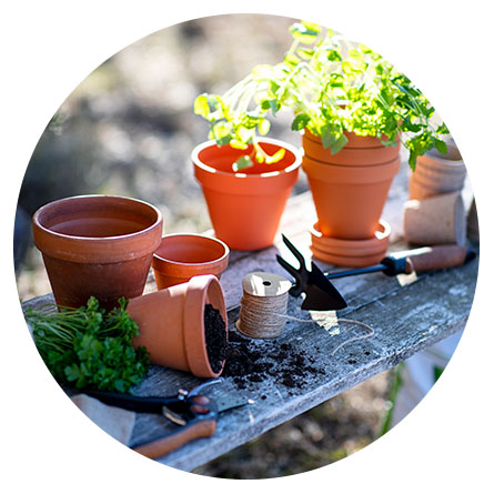 Ulkokasvien kasvatus